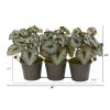 Begonia Artificial Plant in Triple Potted Metal Planter