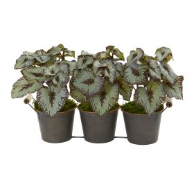 Begonia Artificial Plant in Triple Potted Metal Planter