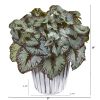 Begonia Plant in White and Silver Vase (Set of 2)