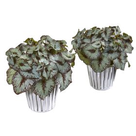 Begonia Plant in White and Silver Vase (Set of 2)