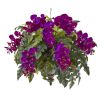 Orchid and Holly Fern Plant in Hanging Bowl