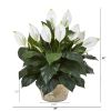 Spathifyllum Artificial Plant in White Planter