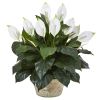 Spathifyllum Artificial Plant in White Planter