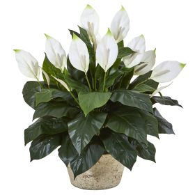 Spathifyllum Artificial Plant in White Planter
