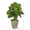 Dieffenbachia Artificial Plant in Country White Planter