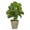 Dieffenbachia Artificial Plant in Country White Planter