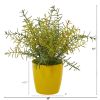 Rosemary Artificial Plant in Yellow Planter (Set of 2)