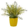Rosemary Artificial Plant in Yellow Planter (Set of 2)