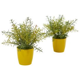 Rosemary Artificial Plant in Yellow Planter (Set of 2)