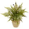 Fern Artificial Plant in Ceramic Planter