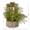 Rosemary Artificial Plant in Faucet Planter