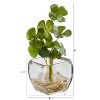 Clover Artificial Plant in Glass Planter (Set of 2)