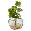 Clover Artificial Plant in Glass Planter (Set of 2)