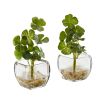 Clover Artificial Plant in Glass Planter (Set of 2)