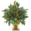 Royal Ficus and Fittonia Artificial Plant in Gold Urn