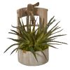 Aloe Artificial Plant in Faucet Planter