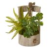 Clover and Fern Artificial Plant in Faucet Planter