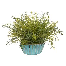 Rosemary Plant in Turquoise Bowl with Silver Trimming