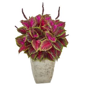 Coleus Artificial Plant in Country White Planter