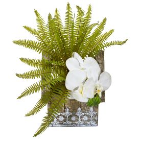 Phalaenopsis Orchid and Fern Plant in Hanging Planter