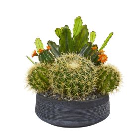 Mixed Cactus Artificial Plant in Decorative Bowl