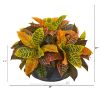 Garden Croton Plant in Decorative Bowl (Real Touch)
