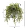 Tillandsia Moss Plant in Vintage Hanging Metal Pail