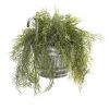 Tillandsia Moss Plant in Vintage Hanging Metal Pail