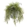 Tillandsia Moss Plant in Vintage Hanging Metal Pail