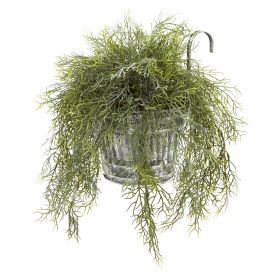 Tillandsia Moss Plant in Vintage Hanging Metal Pail