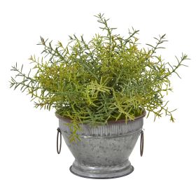 Rosemary Plant in Vintage Bowl with Copper Trimming