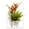 Heliconia and Birds Nest Fern Plant in Chair Planter