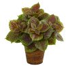 Coleus Artificial Plant in Basket (Real Touch)