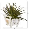 Aloe Succulent Artificial Plant in Chair Planter