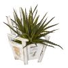 Aloe Succulent Artificial Plant in Chair Planter
