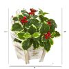 Variegated Holly Plant in Chair Planter (Real Touch)