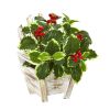 Variegated Holly Plant in Chair Planter (Real Touch)