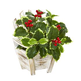 Variegated Holly Plant in Chair Planter (Real Touch)