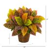 Garden Croton Artificial Plant in Basket (Real Touch)