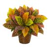 Garden Croton Artificial Plant in Basket (Real Touch)