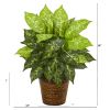 Diffenbachia Artificial Plant in Basket
