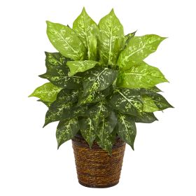 Diffenbachia Artificial Plant in Basket