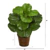 Fiddle Leaf Artificial Plant in Basket