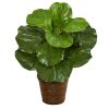 Fiddle Leaf Artificial Plant in Basket