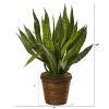 Sansevieria Artificial Plant in Basket
