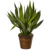 Sansevieria Artificial Plant in Basket
