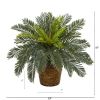 Cycas Artificial Plant in Basket