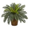 Cycas Artificial Plant in Basket