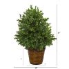 Sweet Grass Artificial Plant in Basket (Indoor/Outdoor)