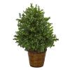 Sweet Grass Artificial Plant in Basket (Indoor/Outdoor)